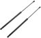 Frankberg 2x Gasfeder Dämpfer Heckklappe Kompatibel mit Ibiza IV 6J5 6P1 6P5 Alle Motoren 2008-2019 Replace# 6J4827550B