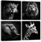 Black and White Wall Art Animal Wall Pictures Living Room Decor Lion Canvas Prints Elephant Giraffe Leopard Paintings Wildlife Pictures Animal Portrait Hallway Decor Home Decoration 30x30cm 4Pcs