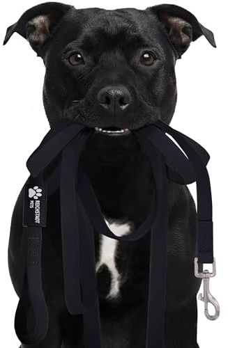 Reichstadt Pets Robuste PVC texturierte Hundeleine 25RSP085 Black 10m | Wasserabweisend, rutschfeste Oberfläche | 360° Edelstahl-Karabiner, pflegeleicht & wetterfest