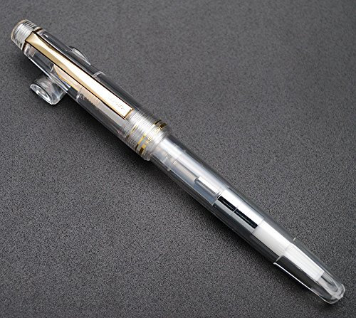 czxwyst 659 Double Nibs Fountain Pen (Transparent with Golden Clip)