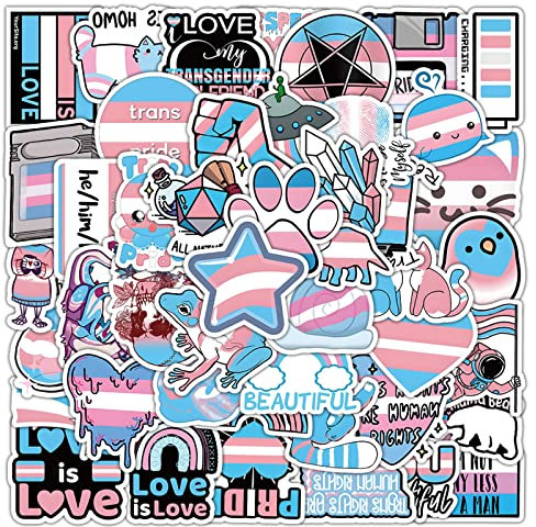 Transgender Pride Sticker 60 Stück, Transgender-Stolz-Aufkleber, LGBT Pride Vinyl Aufkleber, Wasserdicht, Perfekt für Wasserflasche Laptop Scrapbooking Aufkleber Transgender Pride Geschenk