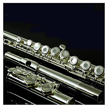 flöte Querflöte Einsteiger Einsteiger Musikinstrument 16 Offene Und Geschlossene Löcher Versilberte Primärpfeife (Color : 16 Open Close)