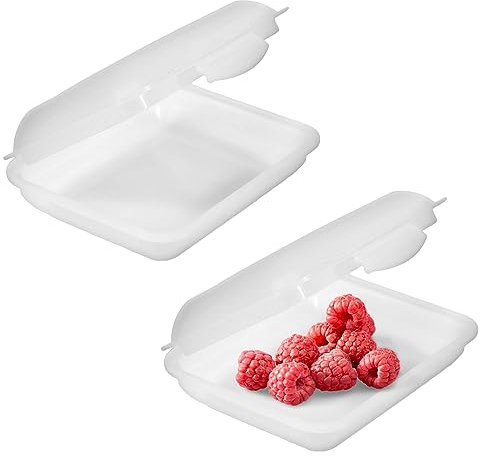 Radami 2 x Klickbox Mini Frischhaltebox Frishhaltedose Vesperbox Lunchbox Aufbewahrungsbox Dose