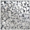 Kieskönig Marmorsplitt Carrara Weiss Marmorkies Gartenkies Zierkies Edelsplitt 22/30 mm 5 kg Sack