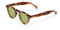 XLAB Occhiali da sole mod. HOKKAIDO, occhiali unisex (47mm, Tartaruga scuro/Verde)