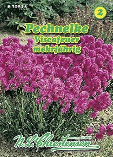 N.L. Chrestensen 572046 Pechnelke Viscafeuer (Pechnelkensamen)