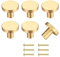 Realure 10 Pcs Round Cabinet Knobs with 2 Sizes Screws, 20 * 25mm Gold Handles Single Hole Solid Brass Drawer Knobs, Door Knobs for Cupboards, Dresser Drawers & Kitchen, Wardrobe Home Decorating
