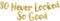 Blinkendes Banner Banner zum 30 Jahrestag 30 Geburtstag Party Banner Glitzer-Banner Geburtstags-Dekoration Gold