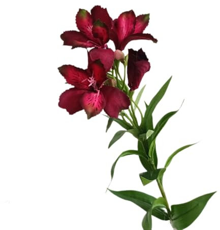 BQEE Fiori artificiali di giglio peruviano, set da 2, 74 cm, seta e plastica, bouquet per matrimoni, casa, ufficio, giardino, feste, hotel, decorazione (rosso)