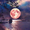 OWN4B Kreuzstich Stickpackungen Vorgedruckt, Mond Nacht Baum Bilder 11CT 14,2x14,2 Zoll DIY Stickpackung Set