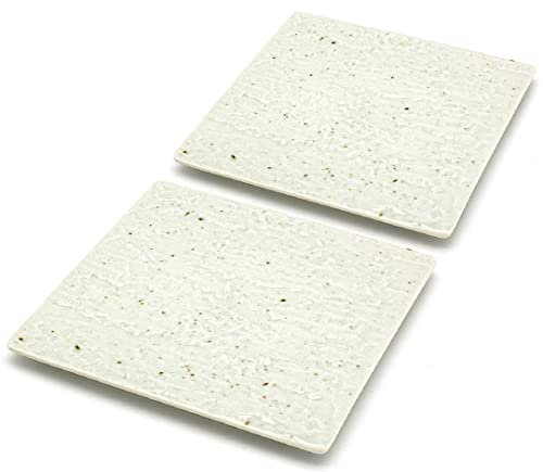 TIKUSAN Platos para servir, juego de 2 platos de sushi, platos cuadrados hechos en Japón, platos de cerámica para cena, fiesta, restaurante, aperitivos, carne, postre (blanco)