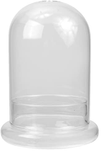 Cabilock Glasbehälter Schreibtischcontainer Esstisch Deko Pflanzkasten Mikrolandschaftsflasche Leere Moosflasche DIY Pflanzenanbau Container Terrarium Vase Tisch Deko Glasbehälter