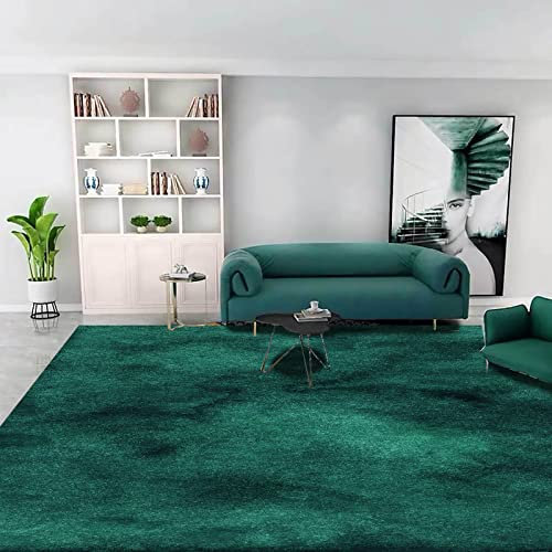 Rururug Tapis Tapis De Décoration Intérieure Tapis De Grande Taille Tapis De Chambre À Coucher Tapis De Salon Vert émeraude 200 x 300 cm