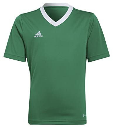 adidas Performance Entrada 22 Trikot Kids gruenweiss, 116 Kinder