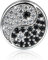 GNOCE Yin und Yang Diagramm Charm Bead 925 Sterling Silber Die Kraft der Natur Charm mit CZs Fit für Armband/Halskette Weihnachtszauber Geschenke für Frauen Männer