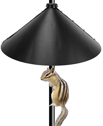 Eichhörnchen Schallwand 2 Stück Eichhörnchen Klappe universelle Eichhörnchen sichere Schallwand Vogelfutterschutz und Vogelhäuser, Eichhörnchenschutz für Vogelfutterspender