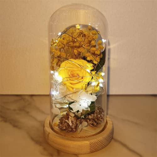 Saint Valentin Rose Eternelle sous Cloche, La Belle et la Bête Rose, Dôme en Verre Rose éternelle avec lumière LED et Base, Mariage Maison Décor, Cadeau Pour Femme, Amie, Anniversaire, Fête des mères