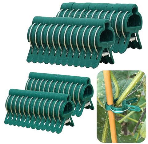 FAINCA 48 Pièces Attache Plante Grimpante, Vert Support Plante Grimpante, Tomates Clip Plante Grimpante, Résistant Lumière Accroche Plante Grimpante, pour l Jardinage et Potager