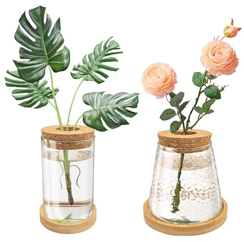 Dormercy Estación de propagación de plantas, jarrón de terrario de vidrio de escritorio con tapa y bandeja de madera, regalo para amantes de las plantas (martillo y vidrio liso)