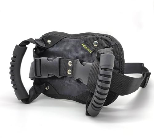 Pelucton Motorcycle Pillion Grab Handles, Universal Motorcycle Passenger Safety Belt, Adjustable Motorbike Harness for Passenger