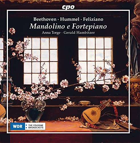 Mandolino E Fortpiano