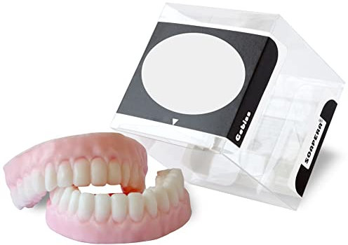 Soapera Gebiss - handgemachte Dekoseife in personalisierbarer Geschenkverpackung