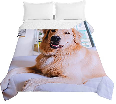 Chickwin Tagesdecke Bettüberwurf Steppdecke, Golden Retriever Hund Tagesdecken mit Präge Wohndecke aus Mikrofaser Gesteppt Bettdecke Bettbezug für Einzelbett Doppelbett (100x150cm,Weiß)