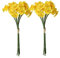 12pcs Daffodils künstliche Blüten Faux Daffodils Seidenblüten gelbe Blüten Künstliche Narzissen Pflanzen Frühling DIY Blumenstrauß für Party Home Dekoration Gelbgelb