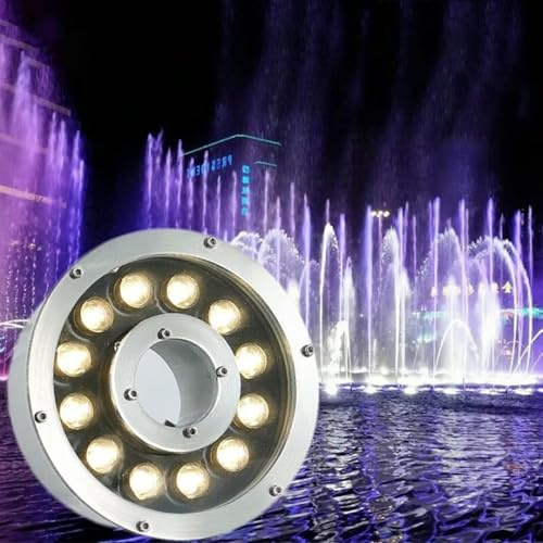 LED Ring Fountain Light - Submersible Underwater Pond Lights, AC12V Middle Hole Pool Lights, IP68 Waterproof Stainless Steel Spotlight(Yellow,6W-AC12V)