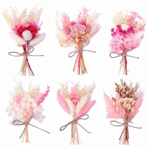 Xialvyu 6 Bündel Mini Trockenblumenstrauß, Klein Trockenblumen (Rosa) | Trockenblumenstrauß Rosa, Natürliche Getrocknete Blumenstrauss, Dried Flowers für Bilderrahmen Deko Geschenkverpackungen