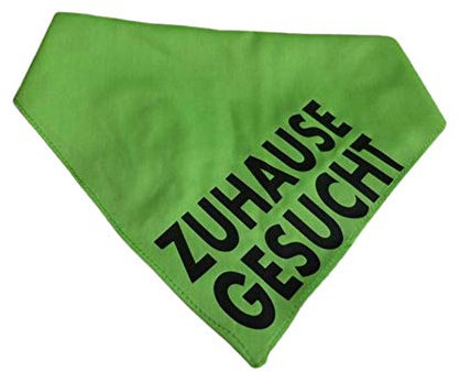 Hundehalstuch Zuhause gesucht