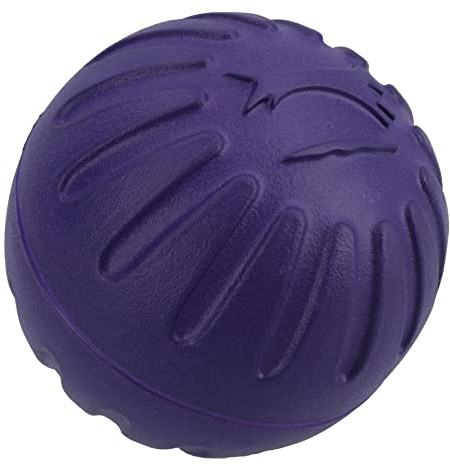 Large Interactive Play Durafoam Dog Puppy Ball Floating Toy-Assorted Colour