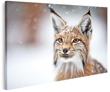 islandburner Bild auf Leinwand Luchs im Schnee mit seinen Schnurrhaaren Bilder Wandbilder Poster