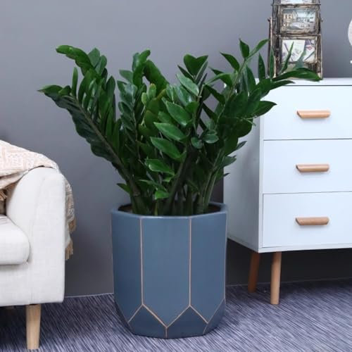 FGJKKRMI Pots De Plantes Octogonaux en Céramique avec Trou De Drainage Et Soucoupe, Jardinière Géométrique Moderne Grand Pot De Fleurs for Plantes De Serpent D'herbes Intérieures Et Extérieures