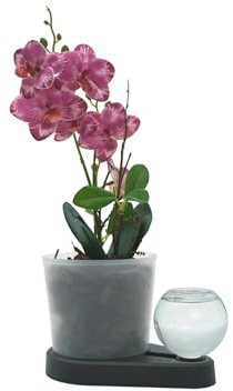 greevi Orchideenheld | Pflanztopf | Bio-Kunststoff, anthrazit | Selbstbewässernd, Inkl. Pflanzgranulat, Inkl. Orchideensubstrat, Made in Germany