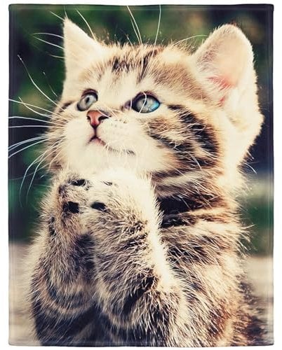 YISUMEI - 100 x 150 cm Decke - Liebenswerte Katze Fleecedecke,Kaschmir-Gefühl Kuscheldecke Geeignet für Bett oder Sofa
