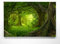 EIN Atemberaubendes Bild – Wald wie gemalt - als 200x150cm große XXL Leinwand. Tolles Wandbild als Hintergrund und Deko für Wohnzimmer & Schlafzimmer. Fertig aufgespannt auf 4cm Holz-Keilrahmen