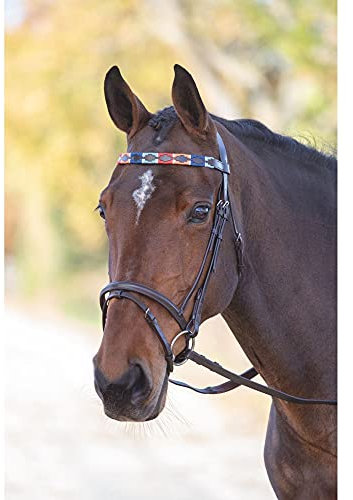 Shires Blenheim Polo-Stirnband, Leder, Türkis/Rot/Orange/Blau