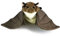 Plüsch Fledermaus Handpuppe Plüschtier Kuscheltier RIDCHIE - Kuscheltiere*biz
