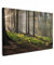 MuchoWow© Leinwand Bilder 60x40 cm Wanddeko Wohnzimmer Aesthetic Room Decor Deko Zimmer Wandbilder Modern Fotogeschenke Bild Wald - Sonne - Äste - Bäume - Natur