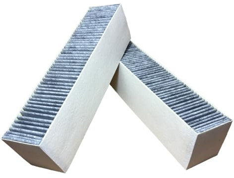 EVAYP / 2x Aktivkohlefilter/Passend für Gaggenau 00792273, 17003002 Küchenhauben, Dunstabzugshauben