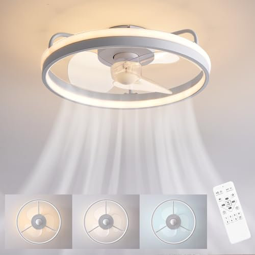 Baerolc Lampadario con ventilatore da soffitto, 35W 50CM Dimmerabile Ventilatore da soffitto con luce e telecomando, 6- Marce Plafoniera con Ventilatore,Temporizzazione ventilatore silenzioso