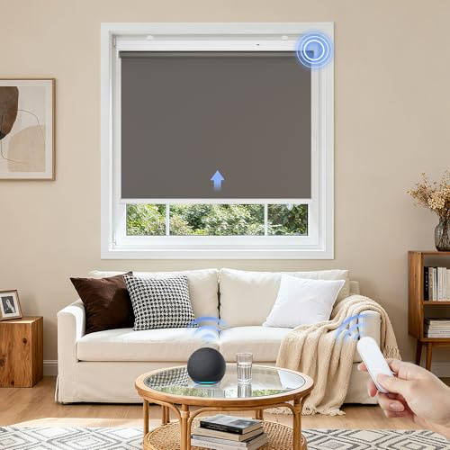 Grandekor Elektrische Rollos 100x100cm (Stoffreite 97cm) Wiederaufladbar | Elektrisches Verdunklungsrollo Dunkelgrau mit Motor & Fernbedingung Rollo ohne Bohren Fensterrollo Innen Smart Rollo