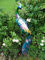 Dekofigur Pfau Metall, ca. 90 cm hoch Gartenfigur Tierfigur Metallfigur