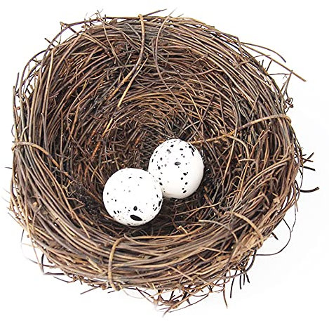 Vogelnest, künstliches Vogelnest, Vogelhäuser, Garten, Natur, Kunsthandwerk, künstliches Vogelnest, Vintage-Vogelkäfig, kreativ für Ostern, Frühlingsdekoration, optisches Geschäft (10 cm)