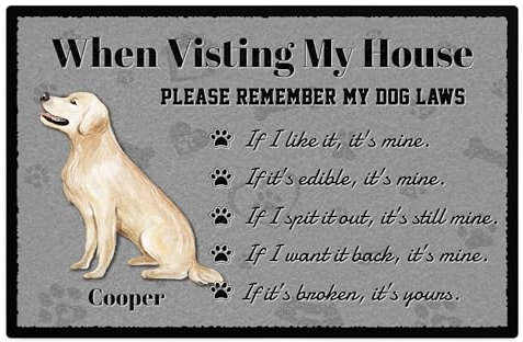 Personalised Golden Retriever Floor Mat Rules Non Slip Indoor Doormat House Warming Gift, 75cm x 50cm, White