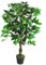 Leaf Artificial Tree/Plant, Wood, Green Twist Ficus, 110cm