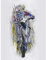 Wee Blue Coo Dirt Bike Motocross Sport Grafik Startseite Ungerahmter Druck 30x40 cm