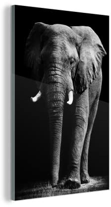 MuchoWow Glasbild Glasfoto Wandbild Bilder Deko 100x150 cm Elefant - Schwarz - Weiß - Wilde Tiere