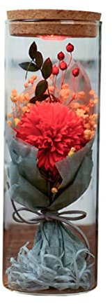 HOMSFOU Weihnachtsblumenflasche Echte in Glaskuppel Konservierte Mit Leuchtendem Led-nachtlicht Blumen Für Immer Im Glas Beleuchtete Glasblume Aufleuchten Frau Rosen Künstlich